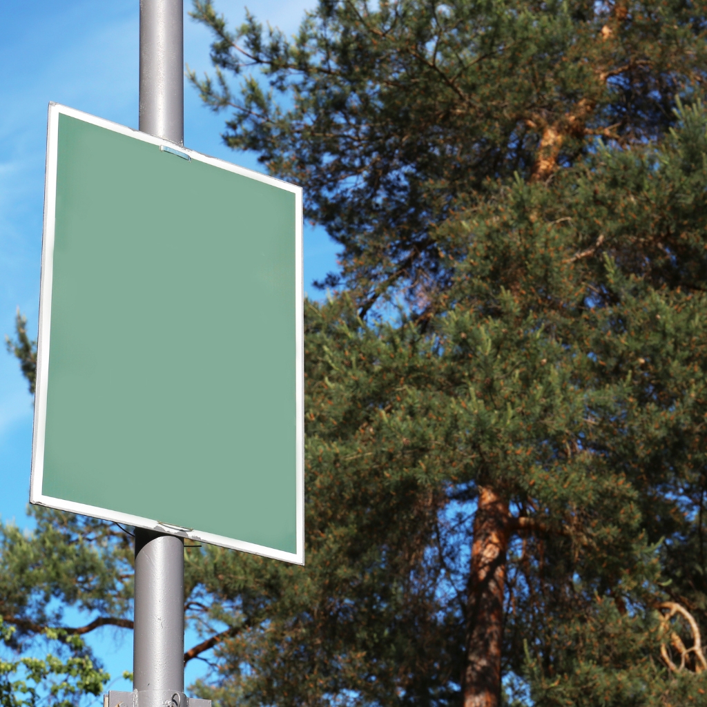 Regulation of Advertising Spaces in Gaborone